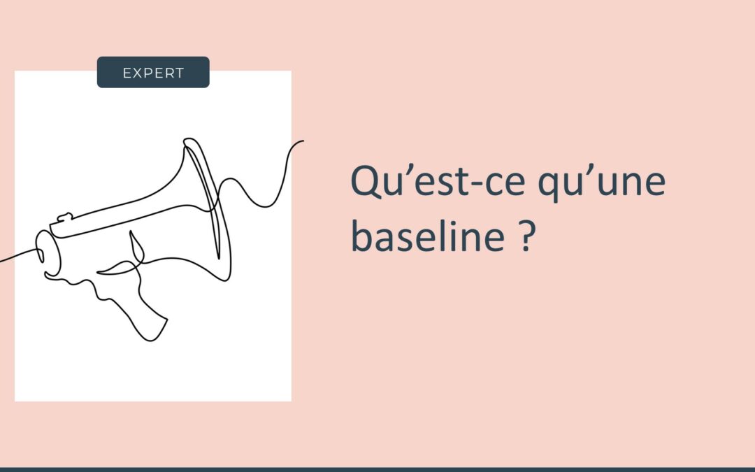 Qu’est-ce qu’une baseline ?